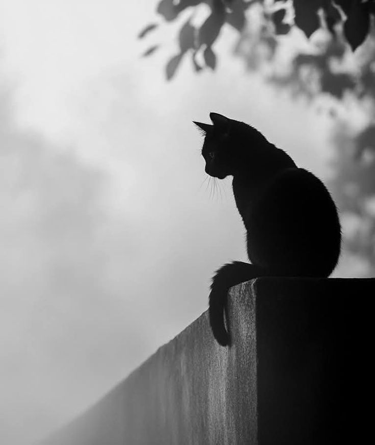 Article sans titre 228