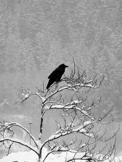 Article sans titre 112