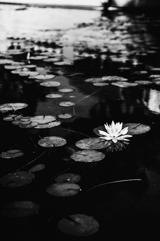 Article sans titre 135