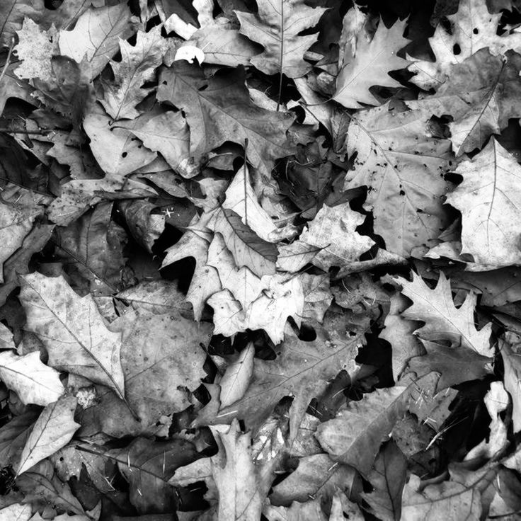 Article sans titre 213