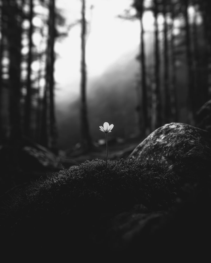 Article sans titre 179