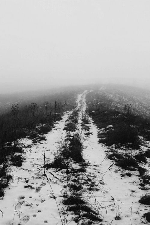 Article sans titre 133