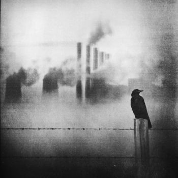 Article sans titre 81