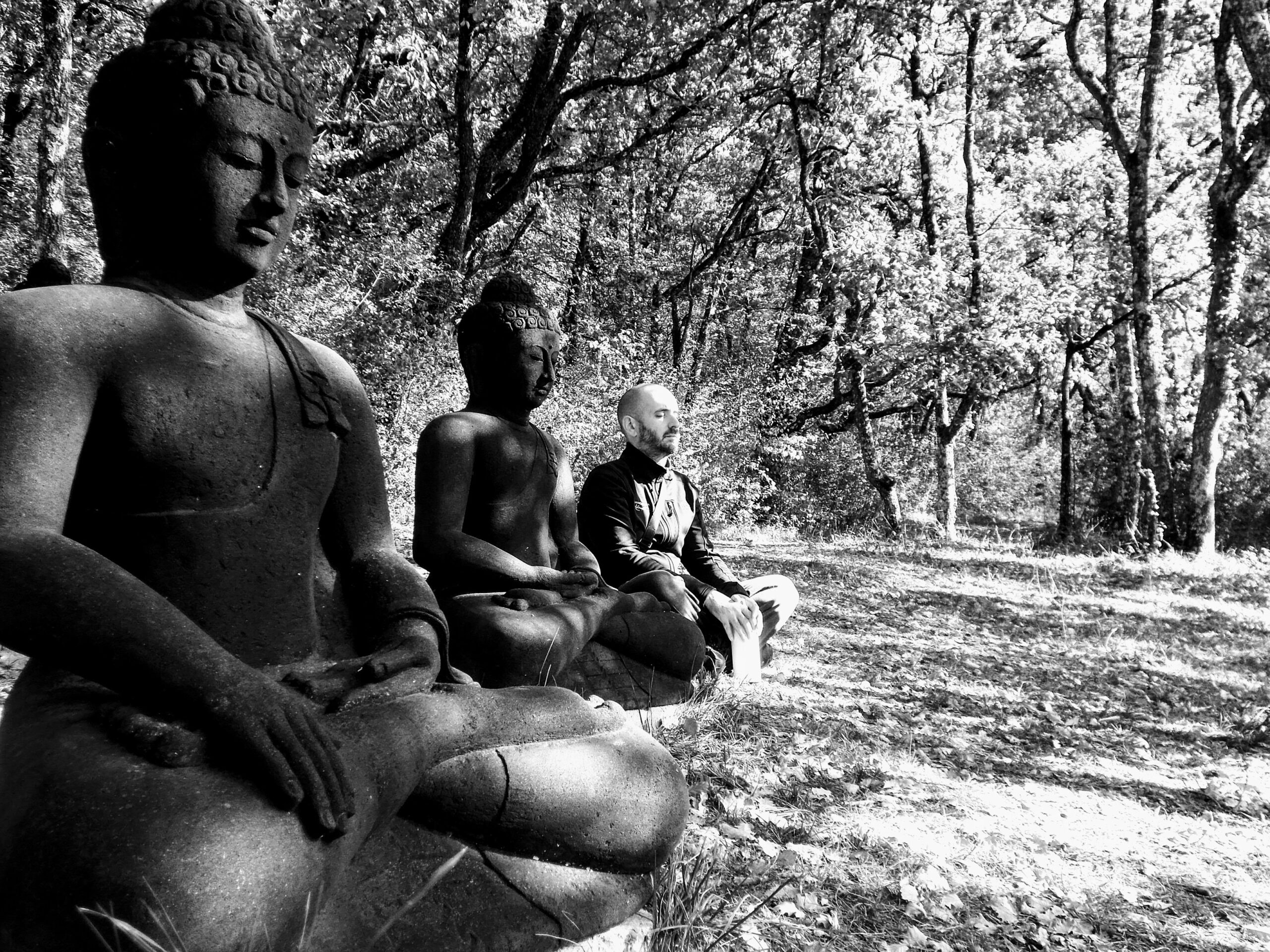 Article sans titre 283