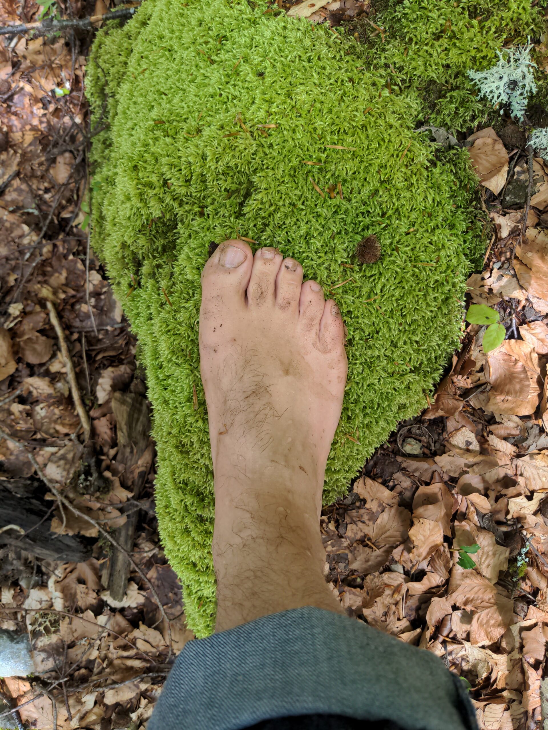 Article sans titre 286